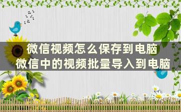 微信视频怎么保存到电脑 微信中的视频批量导入到电脑